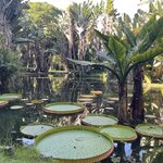 Photo taken by Kara K