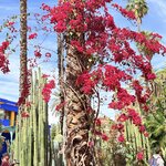 Photo taken by Patricia O