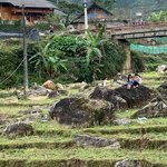 Girls probably sewing their new year clothe | Photo taken by Su-Lin T