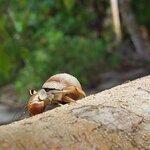 Photo taken by Sarah R