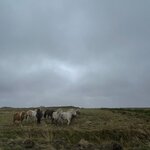 Photo taken by Joe D