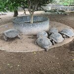 Photo taken by Stephanie A