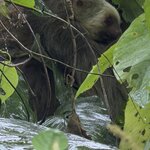 Photo taken by Morton A