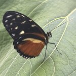 Photo taken by Martin L