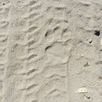 Photo taken by Linette B