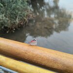 Photo taken by Kaitlin J