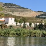 Photo taken by Dee C