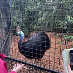 Photo taken by Mohan I