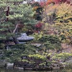 Photo taken by Adrian D