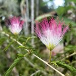 Photo taken by Rob C