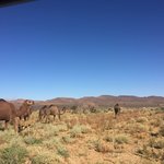 Photo taken by Hilda S