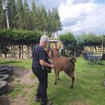 Photo taken by Debby D