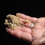 Photo taken by Bailey W