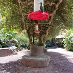 Photo taken by Jacqueline R