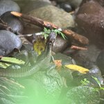 Photo taken by Chris H