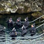 Photo taken by ashley f