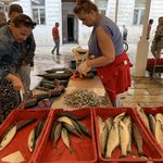 Fish market in Split | Photo taken by Eva W