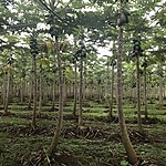 Photo taken by Michelle D