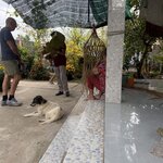 Photo taken by sandi l