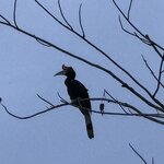 Photo taken by Edit M