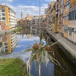 Photo taken by Emilie S