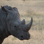 Photo taken by Sandro P