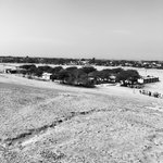 Photo taken by Sandra R