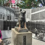 Photo taken by Cathy V