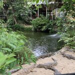 Photo taken by Julie H