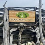 Photo taken by Kim M