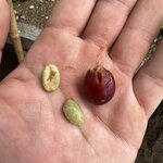 Photo taken by Ross V