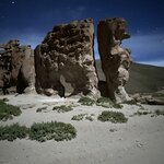 Photo taken by Collins M