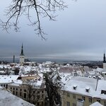 Photo taken by Ellyn V