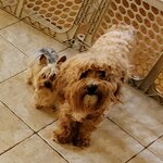 Photo taken by Charisma W