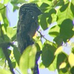 Photo taken by Mary D