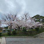 Photo taken by Megan P