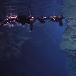 Photo taken by Lynn H