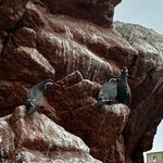 Photo taken by Donna W