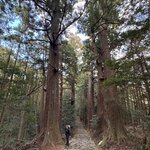 Photo taken by Derek A