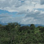 Inspiracion Coffee Hacienda | Photo taken by Peter G