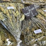 Photo taken by Susan & Bob M