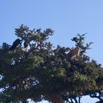 Photo taken by Karyn J