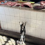 Photo taken by Mary M