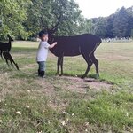 Photo taken by Queenie C