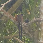 Photo taken by Breann B