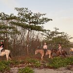 Photo taken by Bert B