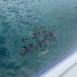 Photo taken by Jonkeeta L