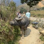 Photo taken by Debra H