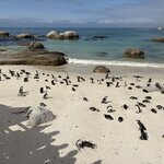 Photo taken by Paul B