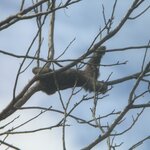 Photo taken by Bonnie Y